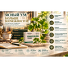 Light Gray Ginkgo Biloba + Clycine