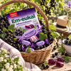Black Em-eukal Johannisbeere (Sugar Free)